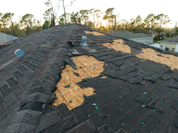 Best Solar Panel Roofing Installation  in Rome, NY