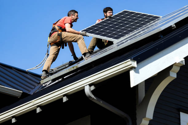 Best Roof Moss and Algae Removal  in Rome, NY