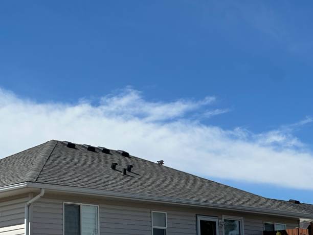 Best Rubber Roofing (EPDM, TPO)  in Rome, NY